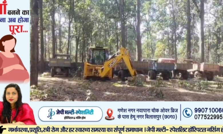 95ab874a 20d7 4b36 85e5 d7b5905182f7