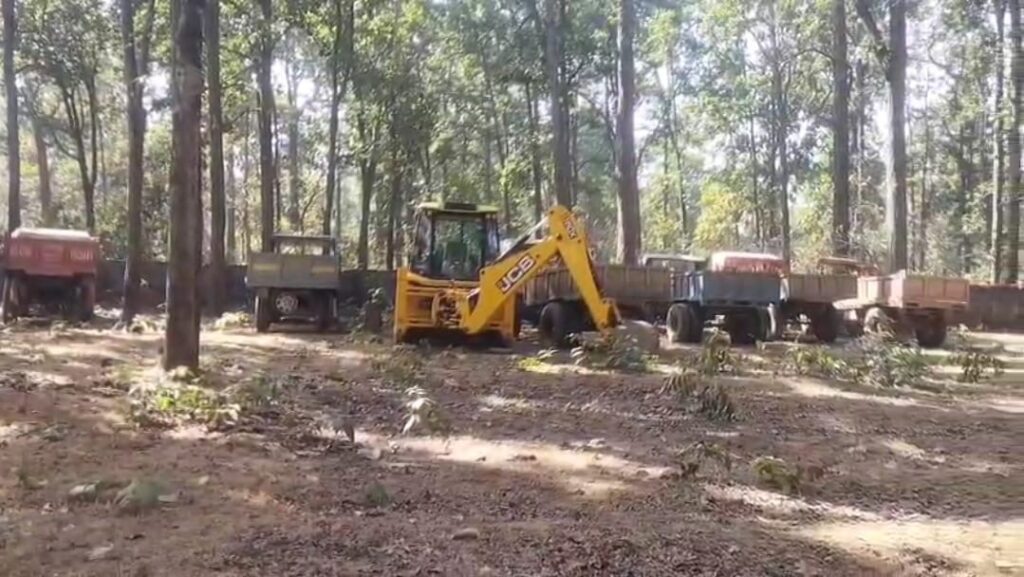 b4885ff5 dba4 44bb 8355 7e3eaa86e32e