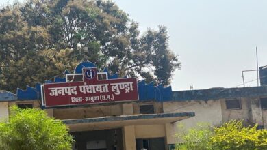 010e3c3c c81a 4456 987c a4f1e5267329