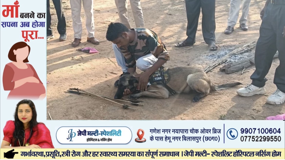 धमतरी में नील गाय का शिकार, जंगल में पड़ा मिला शव, फिर डॉगस्कॉड की मदद से ऐसे अरेस्ट हुआ शिकारी, DFO ने कहा… 1 img 2736